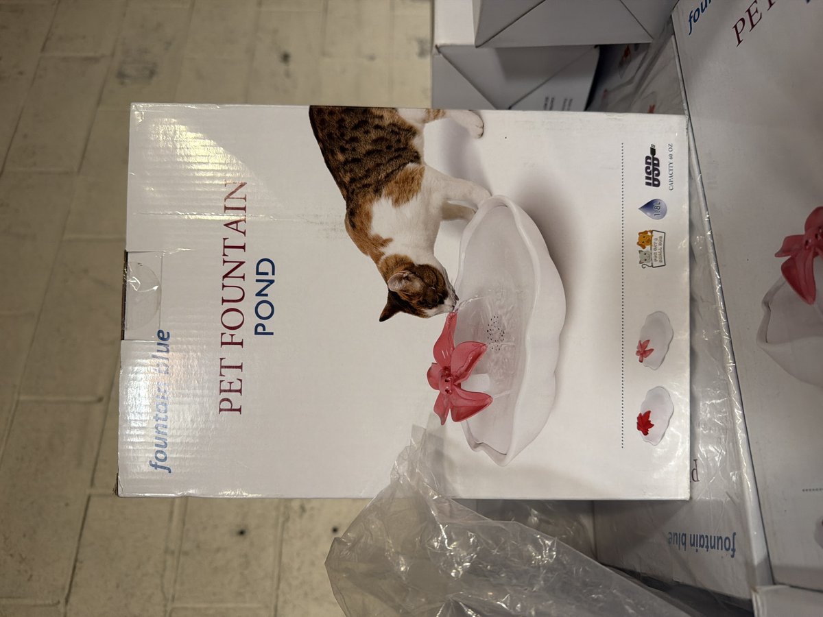 Cat Water Fountain